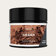 Chaga Extract Powder 30g