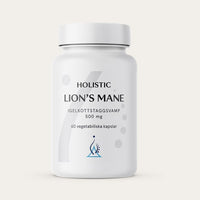 Köp Holistic Lion's mane, 60 kapslar | Fokus & mental klarhet