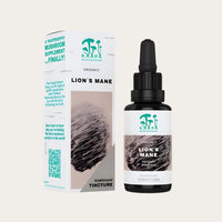 Lion's Mane Extract Tincture 30ml